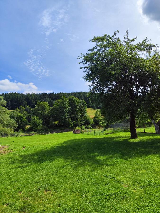 Gdzies Na Koncu Swiata Holiday home Bandrow Narodowy