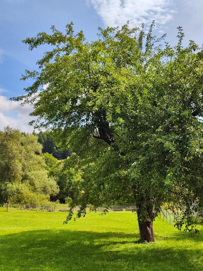 Gdzies Na Koncu Swiata Holiday home Bandrow Narodowy